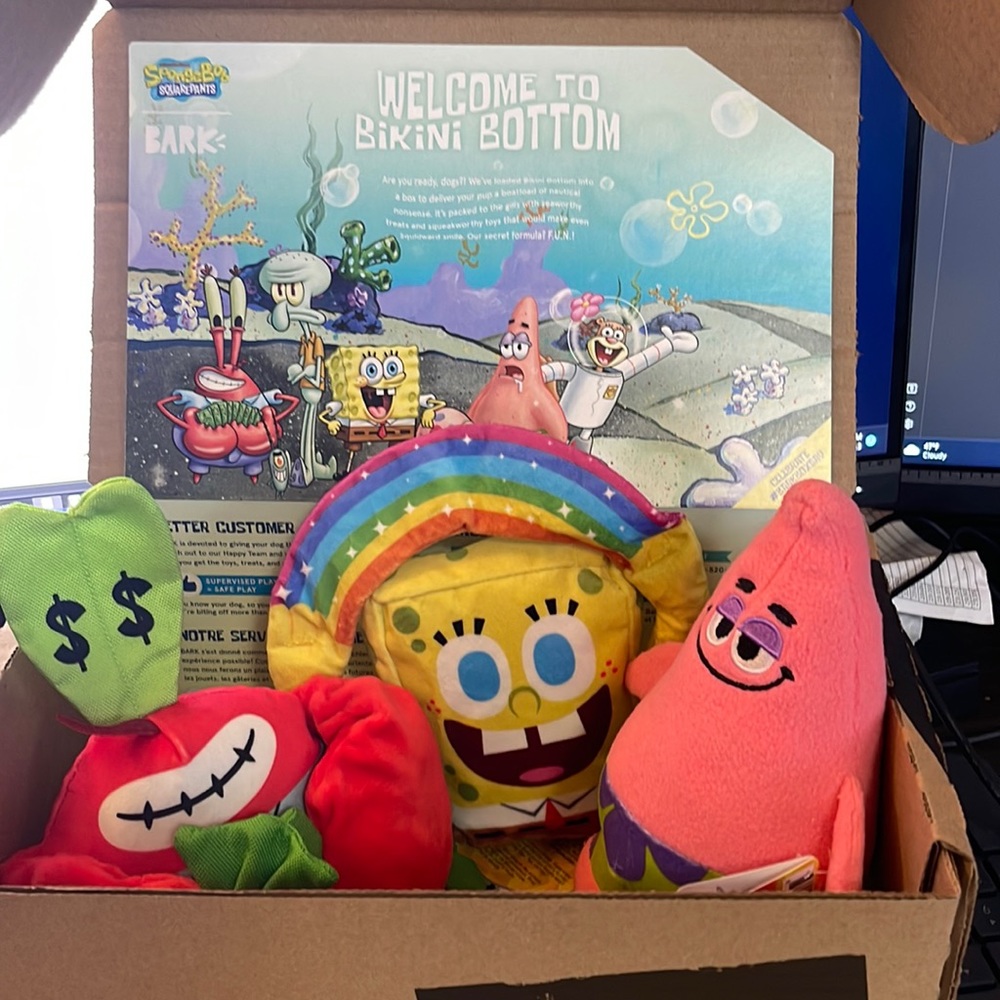 BarkBox extras. New with tags, medium dog toys with squeakers
